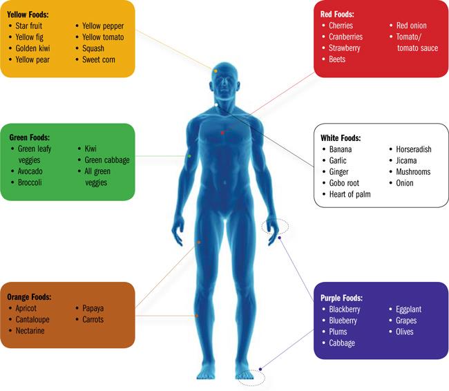 Color Code of Restorative Nutrition_02.jpg