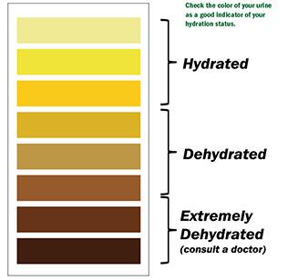 HydrationStatus.jpg