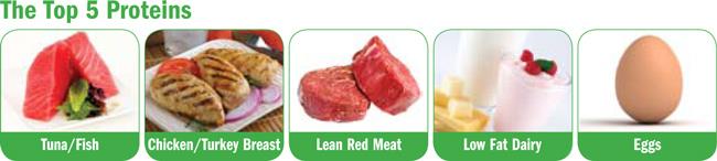 Top5_Proteins01.jpg