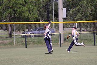 Womens Softball - Updated.jpg