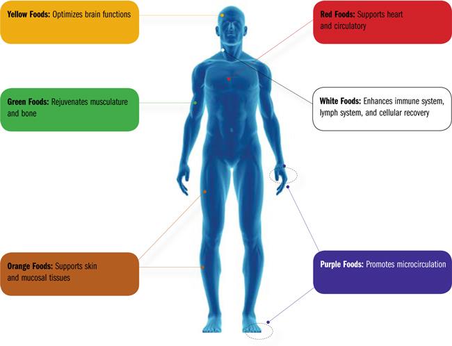 Color Code of Restorative Nutrition_01.jpg